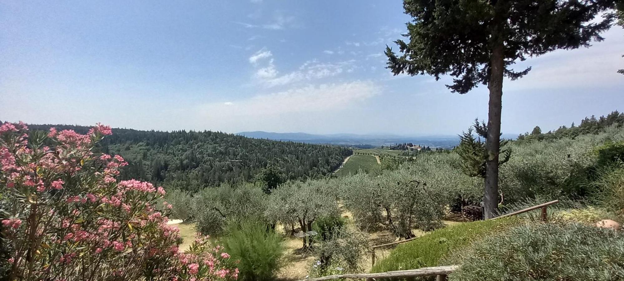 Borgo Nel Chianti Istrice Con Piscina Tennis E Wifi Castellina in Chianti Kültér fotó