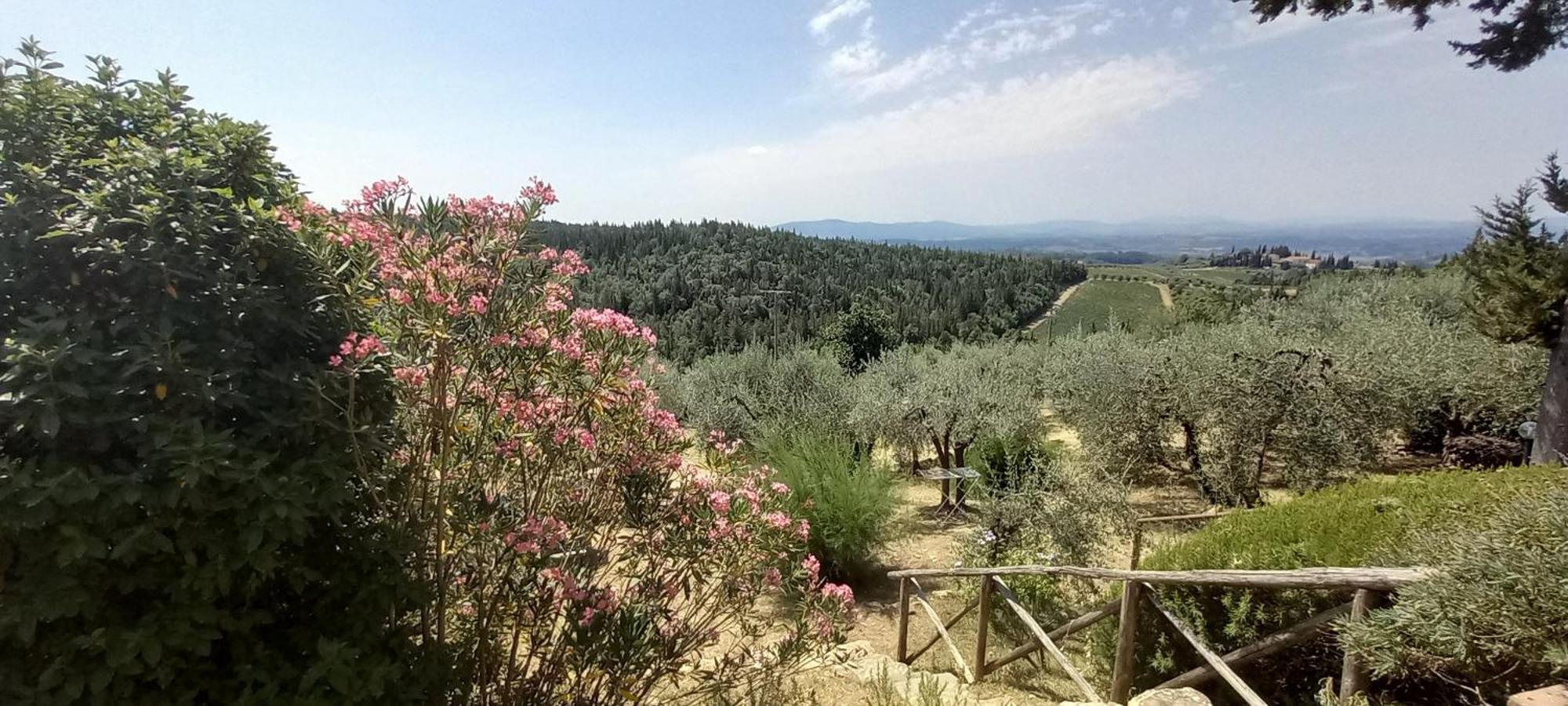 Borgo Nel Chianti Istrice Con Piscina Tennis E Wifi Castellina in Chianti Kültér fotó
